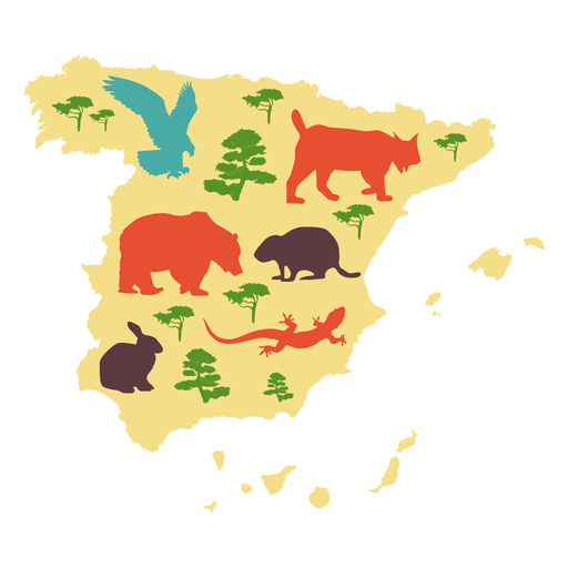 Spain illustrated map PNG Design