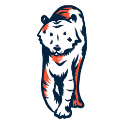 Ilustração de tigre tigre Desenho PNG