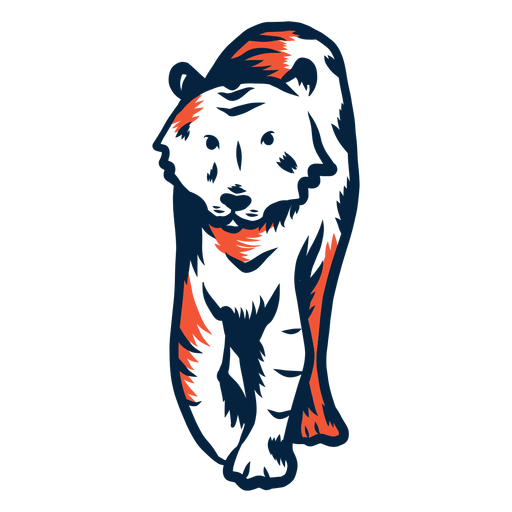 Ilustração de tigre tigre Desenho PNG