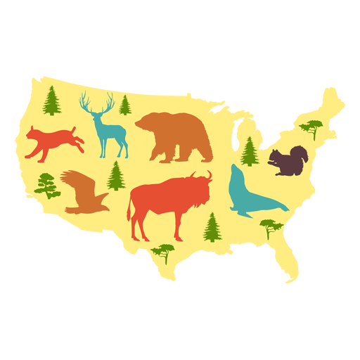 Usa illustrated map PNG Design