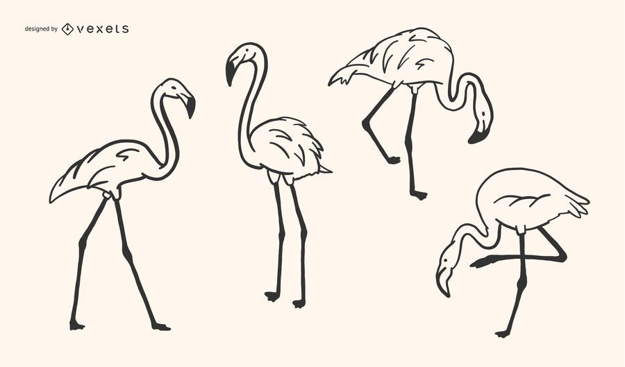 Flamingo Doodle Design Flamingo Doodle Design