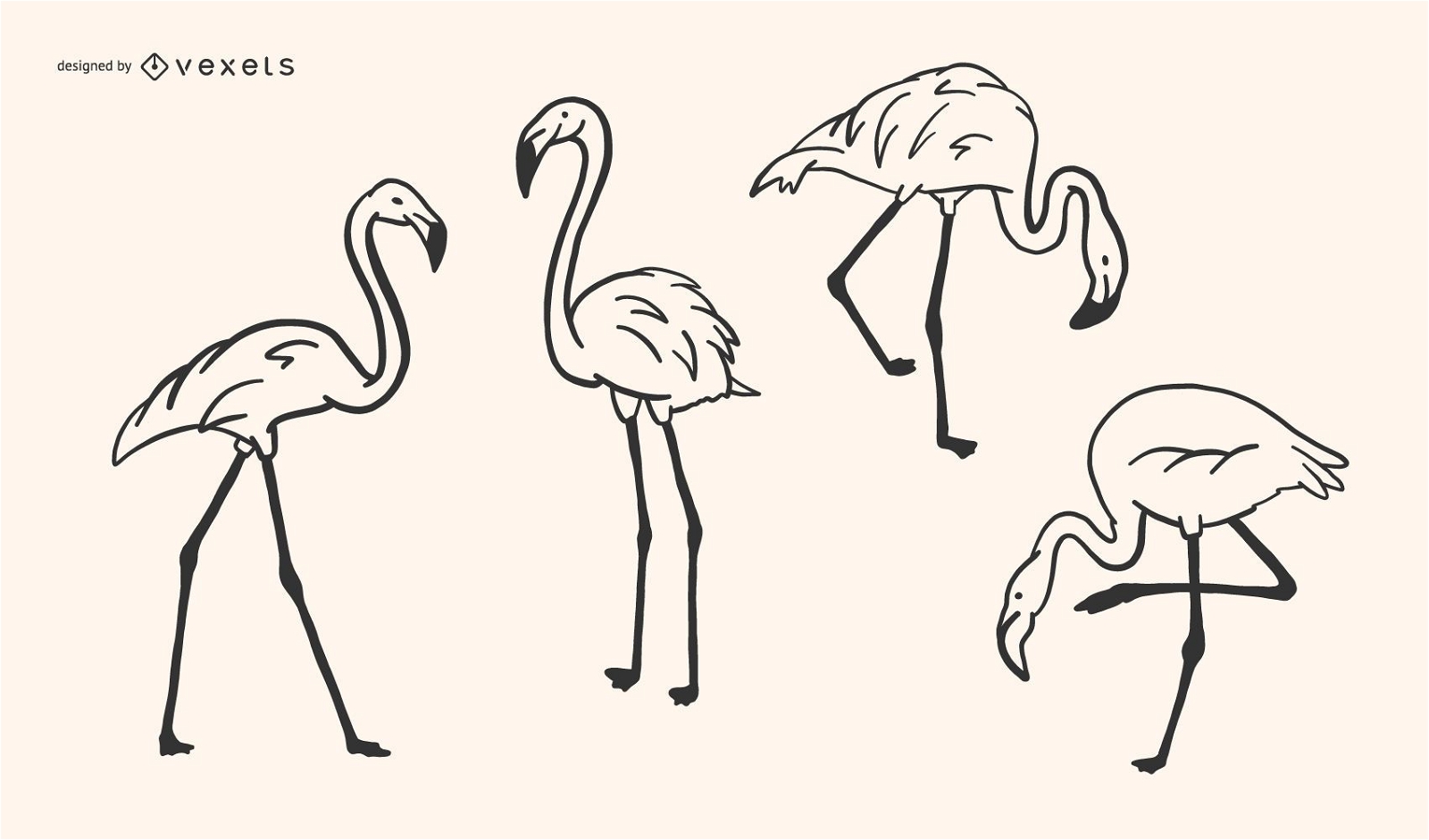 Flamingo Doodle Design 
