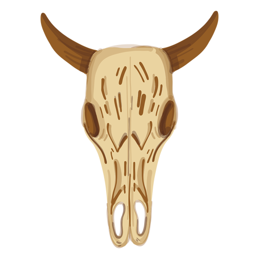 Buffalo skull PNG Design