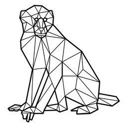 Mono capuchino poligonal Diseño PNG