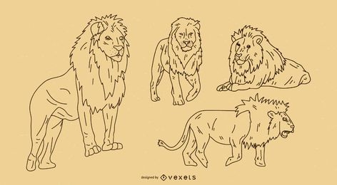 Conjunto de esboço de leão