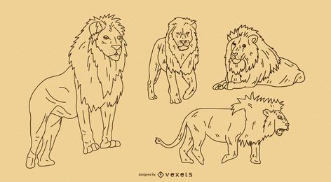 Lion Outline Set