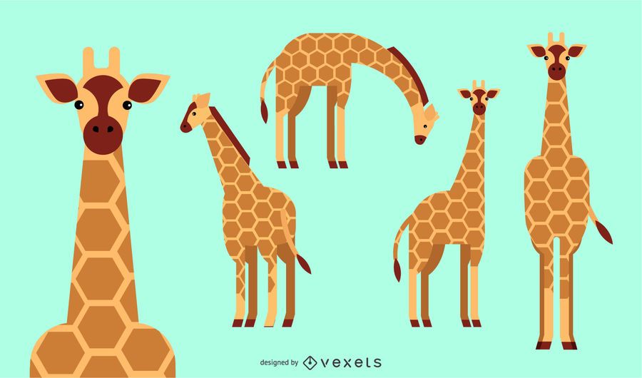 Giraffe Flat Rounded Geometric Design Giraffe Flat Rounded Geometric Design