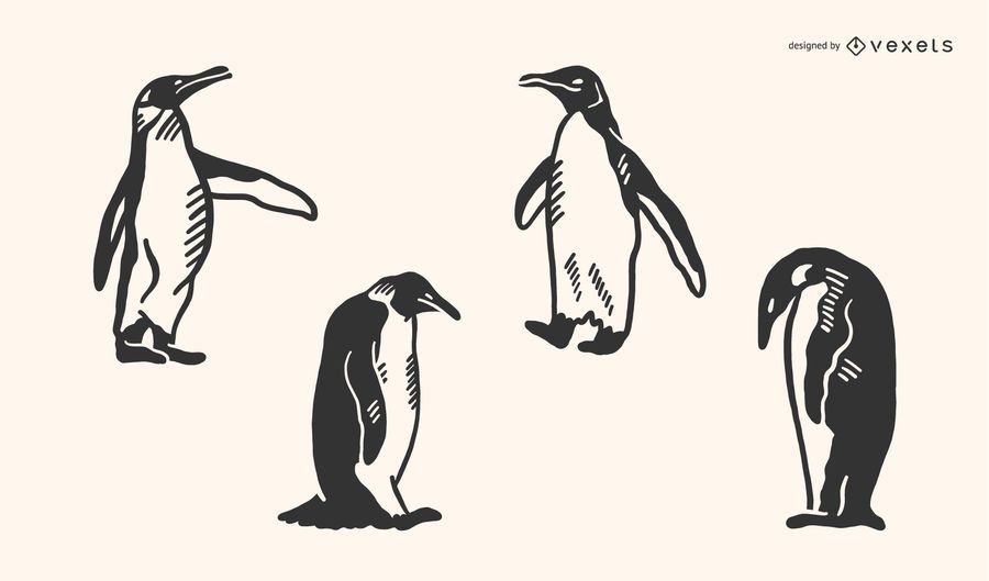Penguin Doodle Vector Set Penguin Doodle Vector Set