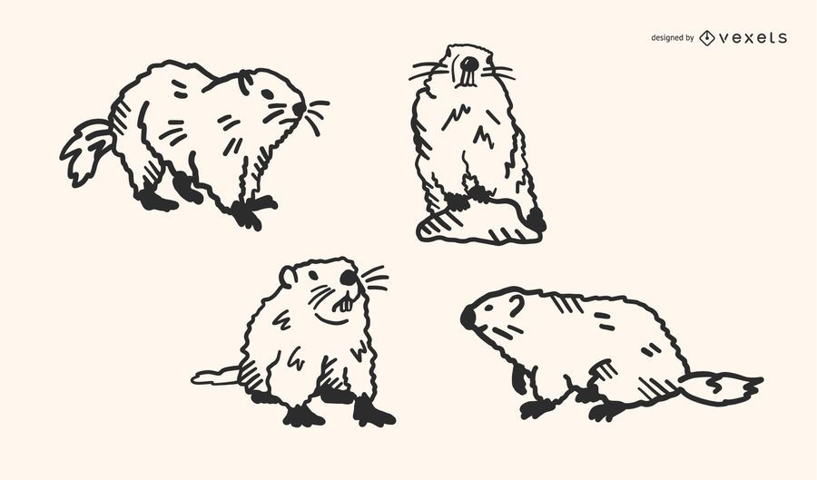 Groundhog Doodle Vector Set Groundhog Doodle Vector Set
