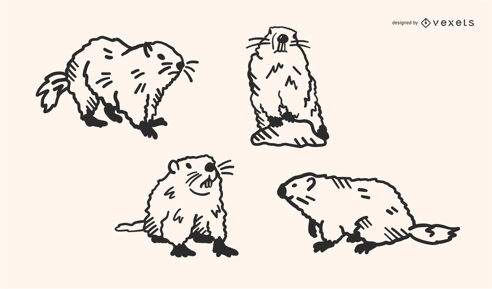Conjunto de vetores de Doodle de marmota