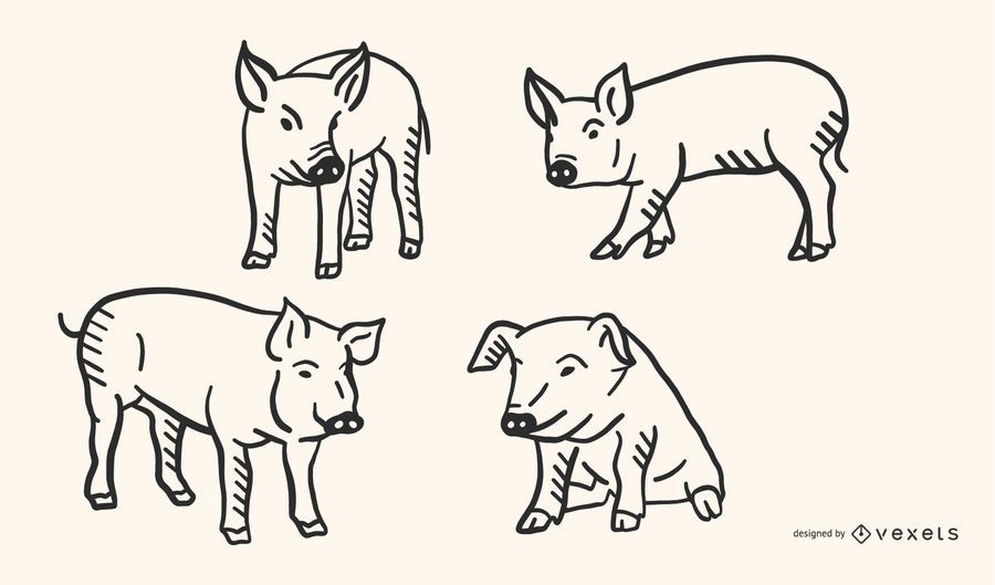 Schwein-Gekritzel-Vektorsatz Schwein-Gekritzel-Vektorsatz