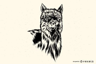 Llama hand drawn Illustration