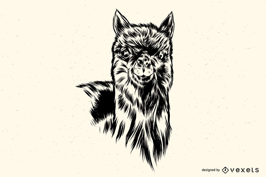 Llama Ilustration Llama Ilustration