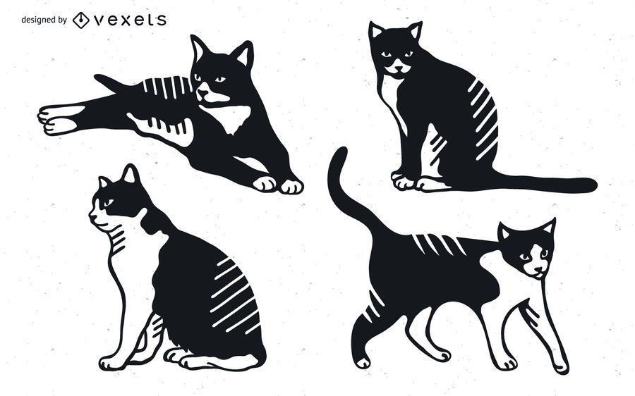 Diseño detallado de la silueta del gato Diseño detallado de la silueta del gato