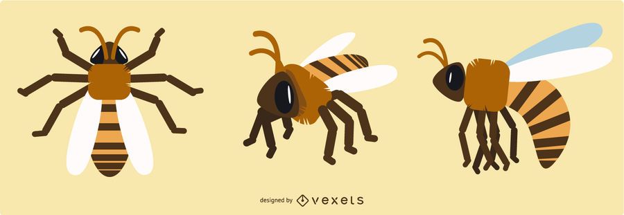 Geometric Bee Designs Geometric Bee Designs