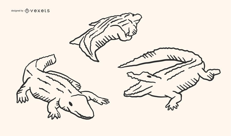 Alligator Doodle Design Alligator Doodle Design