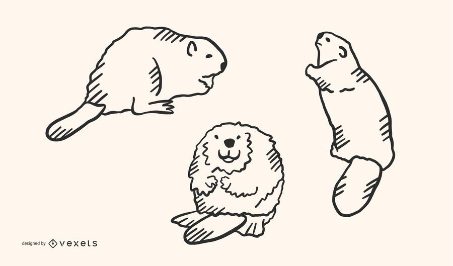 Beaver Doodle Vector Set Beaver Doodle Vector Set