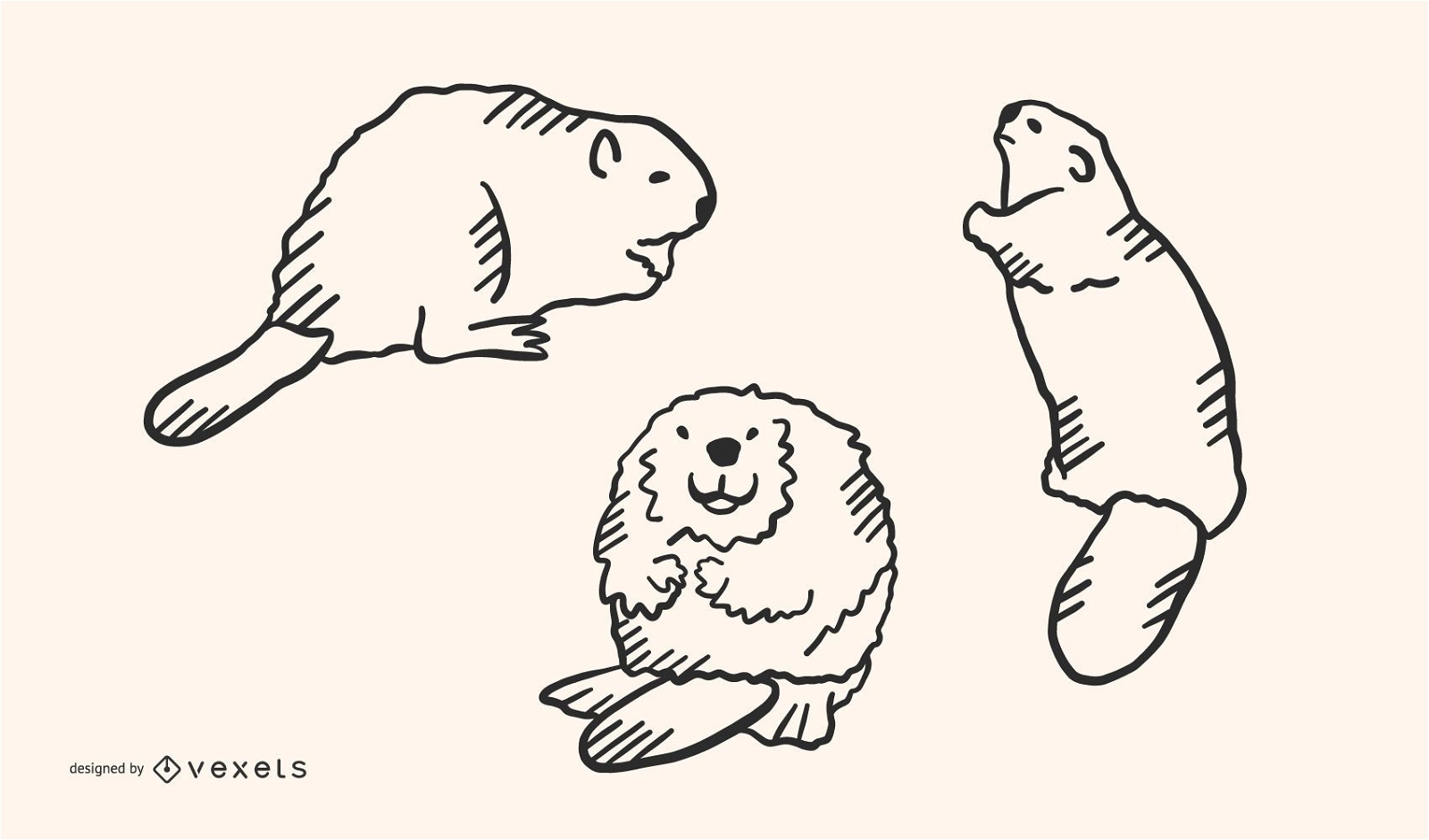 Beaver Doodle Vector Set