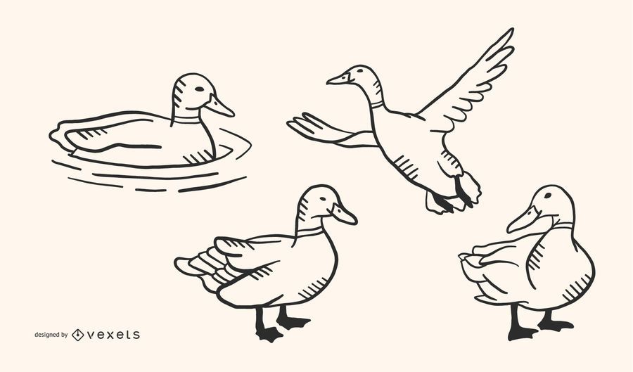 Duck Doodle Vector Set Duck Doodle Vector Set