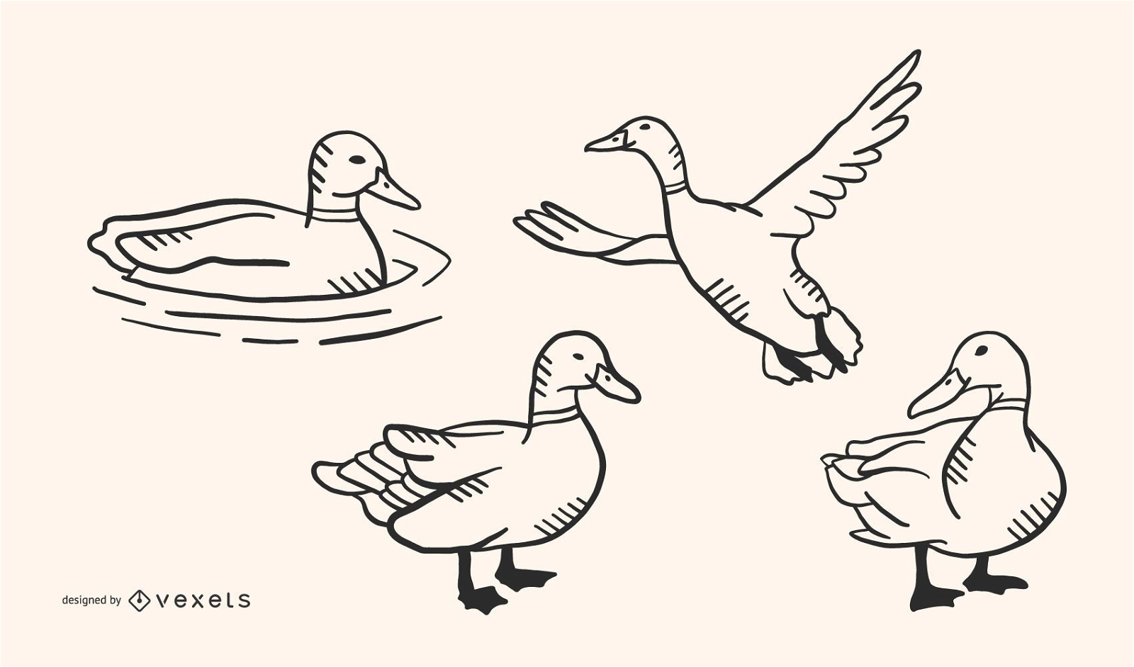 Conjunto de vetores de doodle de pato
