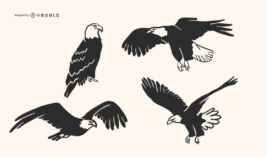 Eagle Doodle Vector Collection Eagle Doodle Vector Collection