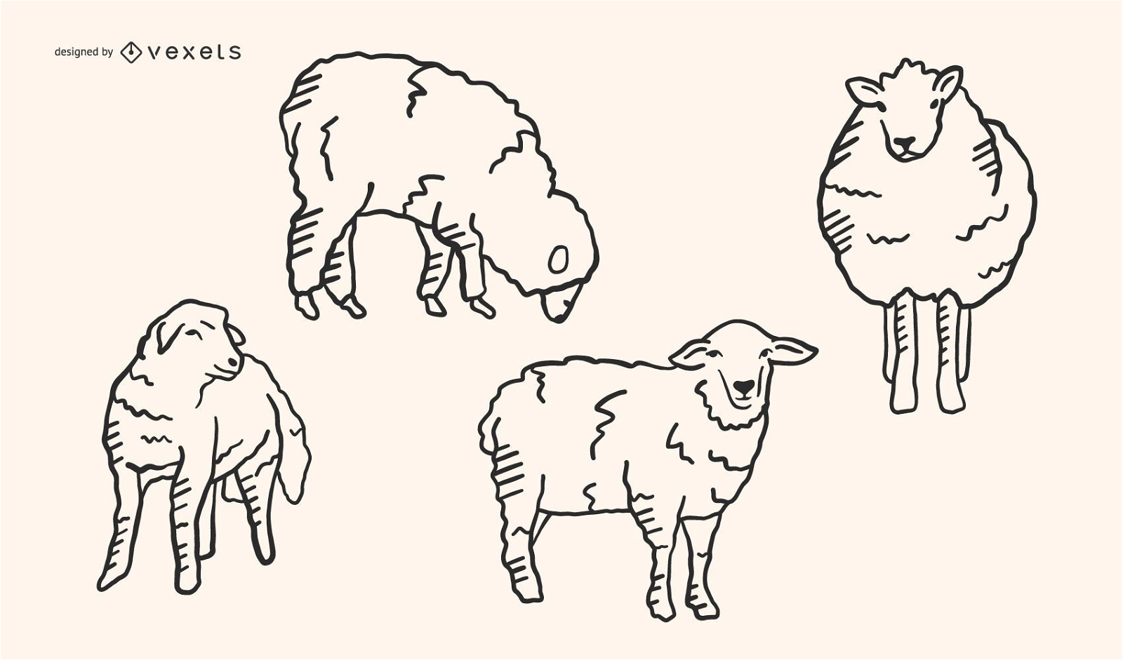 Conjunto de vetores de doodle de ovelha