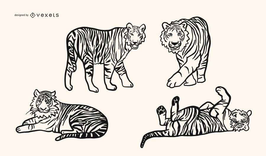 Tiger Doodle Vector Set Tiger Doodle Vector Set