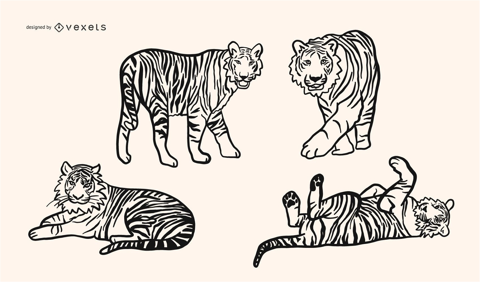 Conjunto de vetores Doodle de tigre
