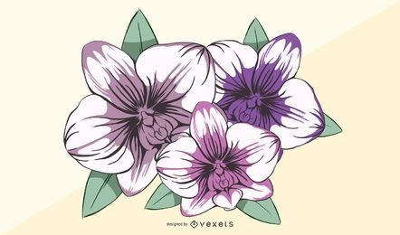 Ilustração de flor de orquídea