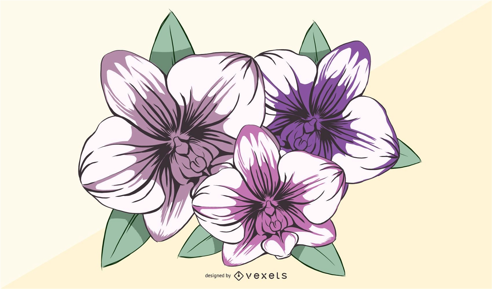 Orchid Flower Illustration