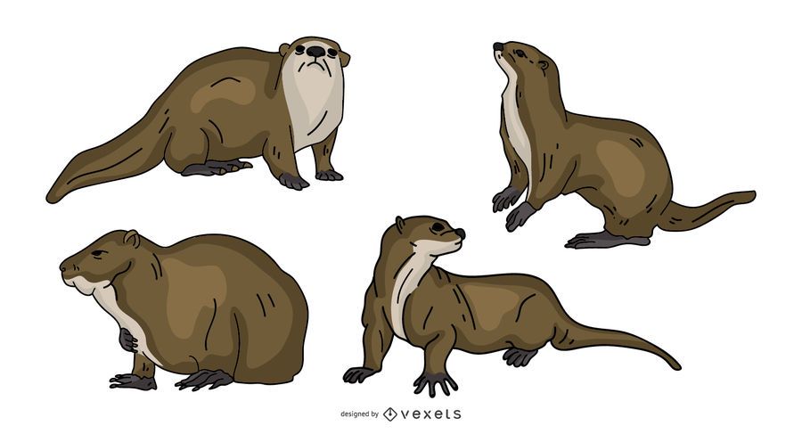 Nutria de color ilustracion Nutria de color ilustracion