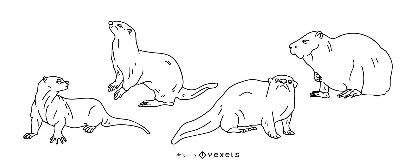 Desenho vetorial de traço de lontra