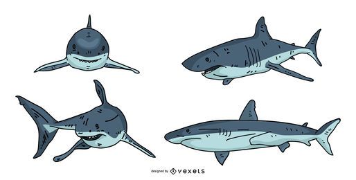 Shark Illustration Design 