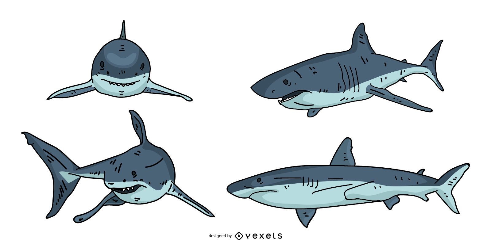 Desenho de ilustração de tubarão