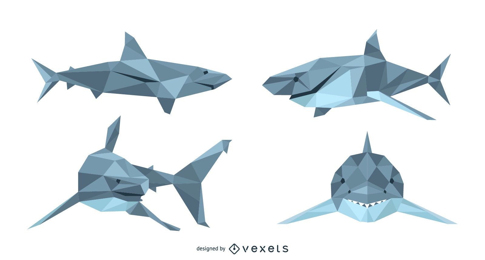 Conjunto de vectores de tiburón Lowpoly