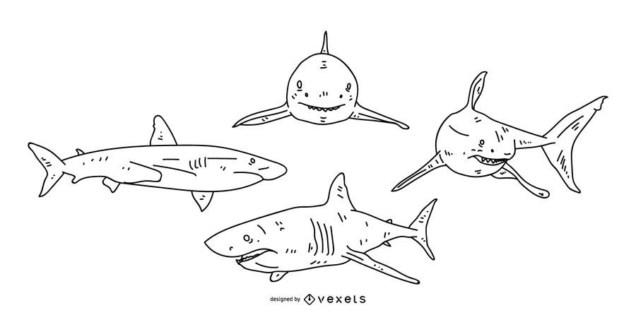Desenho de vetor de traçado de tubarão Desenho de vetor de traçado de tubarão