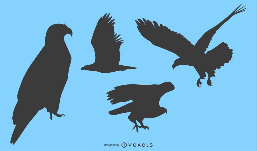 Eagle Silhouette Set of 4 Eagle Silhouette Set of 4