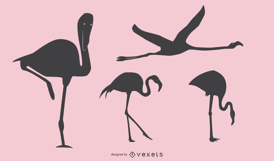 Flamingo Silhouette Design Flamingo Silhouette Design