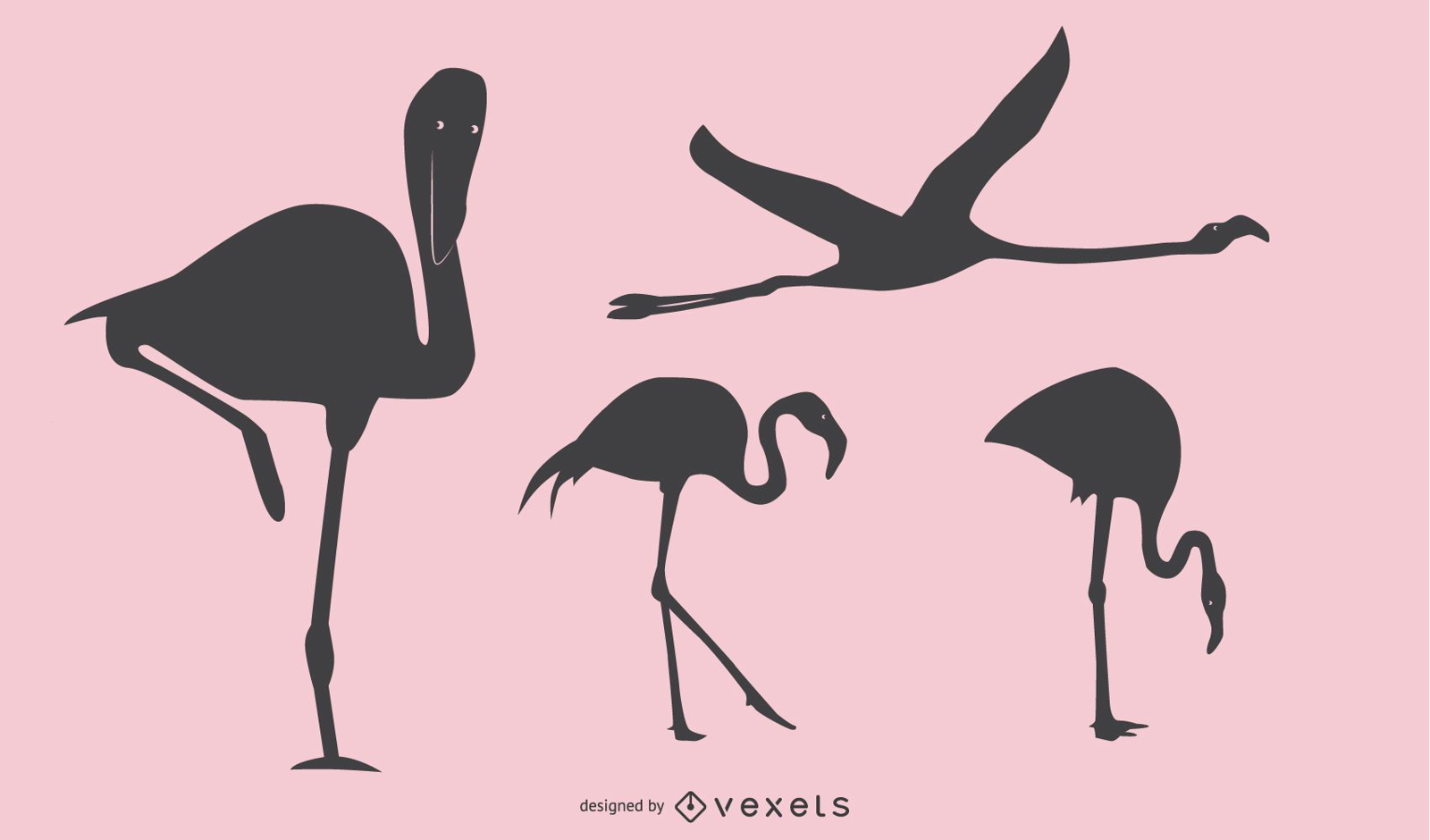 Flamingo Silhouette Design 