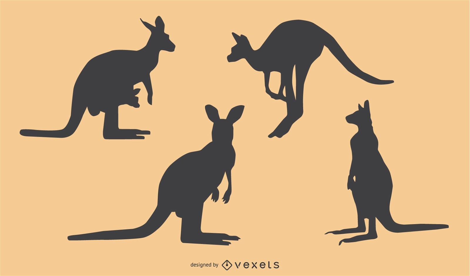 Kangaroo Silhouette Design 