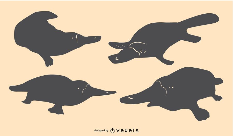 Platypus Silhouette Design Set Platypus Silhouette Design Set
