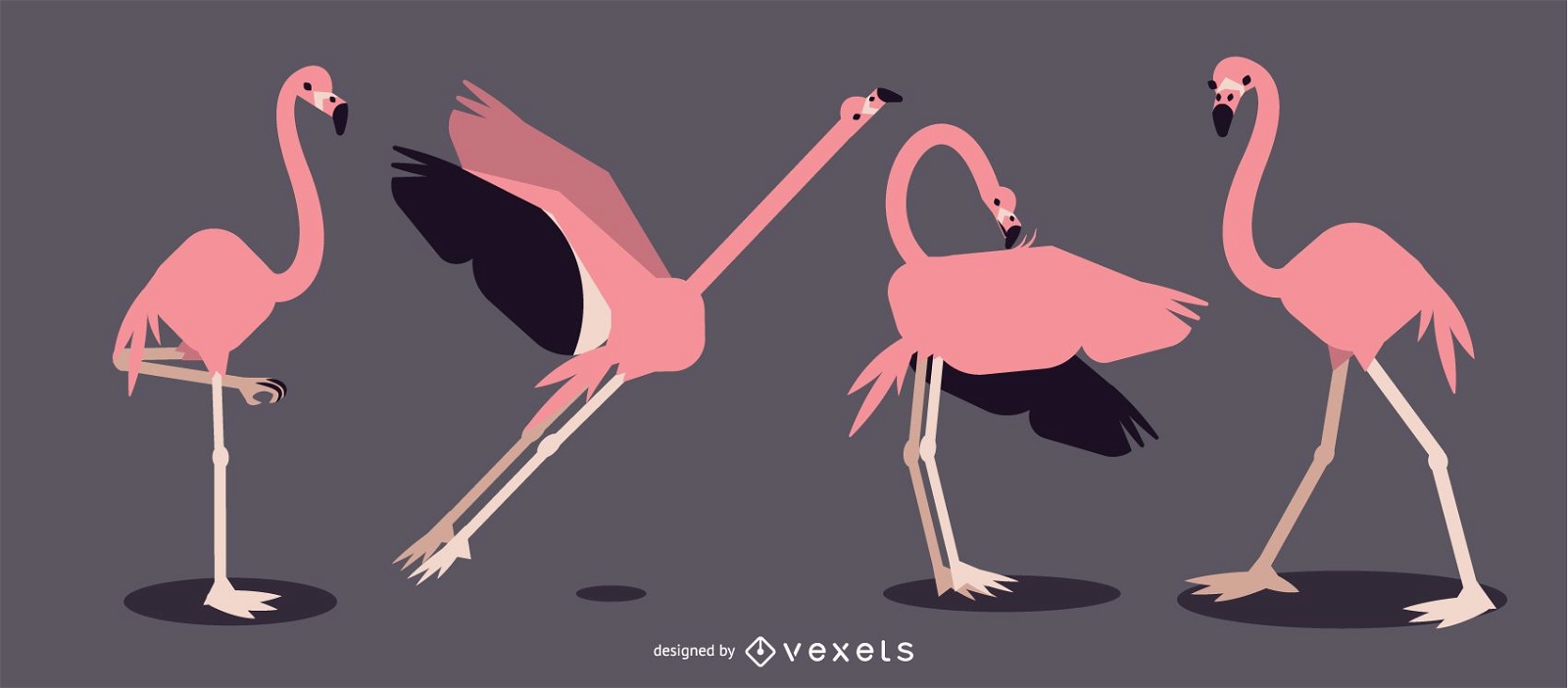 Flamingo abgerundete flache geometrische Design