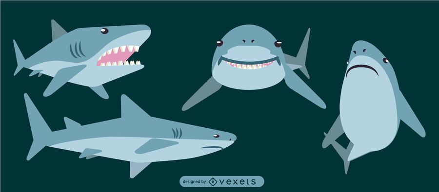 Shark Rounded Flat Geometric Design Shark Rounded Flat Geometric Design