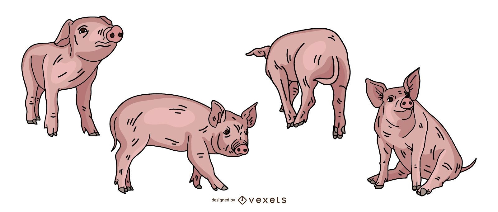 Desenho de ilustração colorida de porco