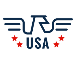 Ícone de águia americana Desenho PNG