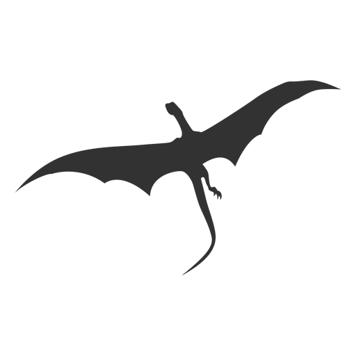Dragon bottom view silhouette PNG Design