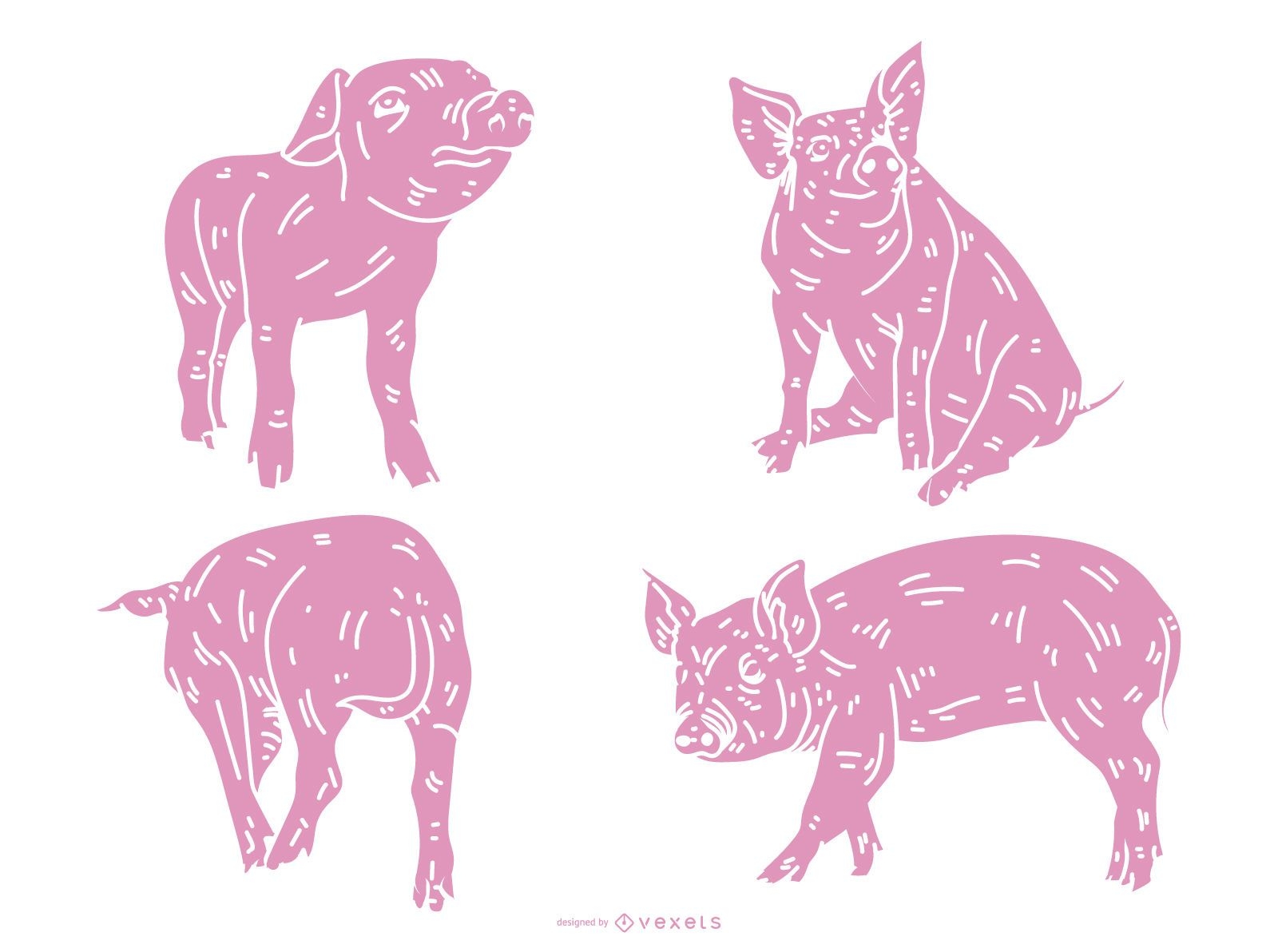 Conjunto de silhueta detalhada de porco