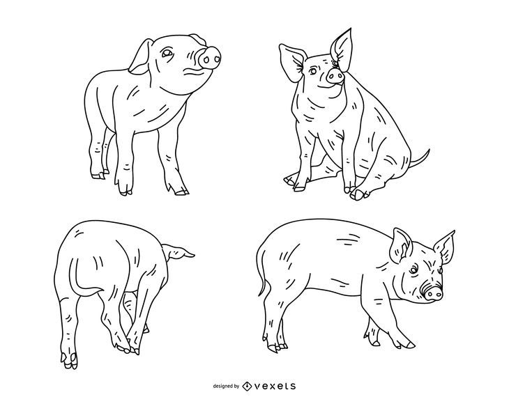 Schwein-Strich-Design-Set Schwein-Strich-Design-Set