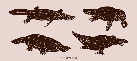 Platypus Projeto Detalhado da Silhueta