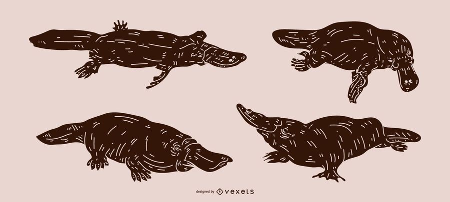 Platypus Detailed Silhouette Design Platypus Detailed Silhouette Design